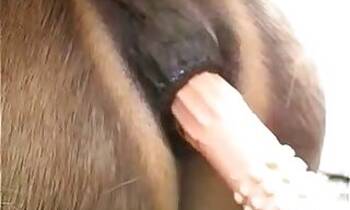 Busty animal xxx