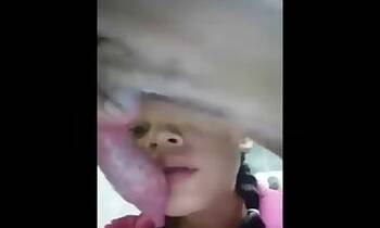 Doggy animal porn