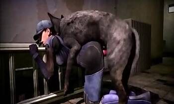 Dogs animal xxx