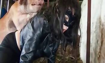 Japanese animal porn