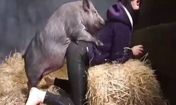 Milf animal sex