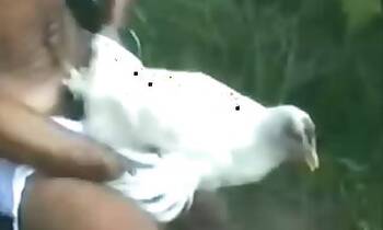Outdoor animal porn