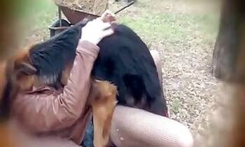 Sucking animal sex