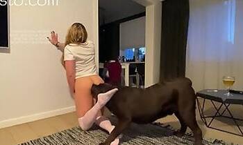 Zoo-Xvideos