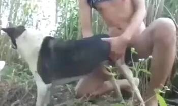 Zoo Sex Videos