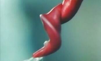 3d animal sex