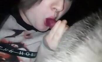 Amateur animal porn