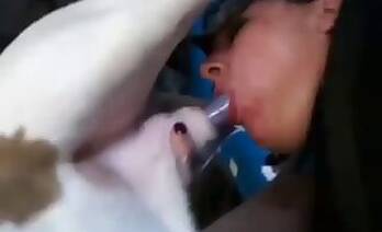Amateur animal porn