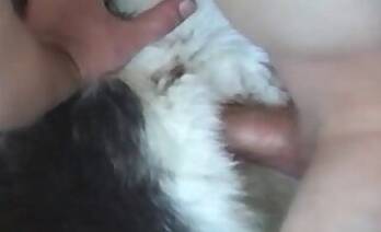 Busty animal xxx