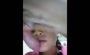 Doggy animal porn