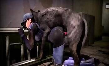 Dogs animal xxx