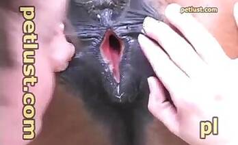 Mare animal tube
