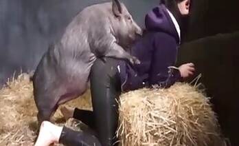 Milf animal sex