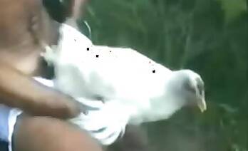 Outdoor animal porn