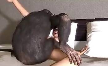 Zoo porno and bestiality