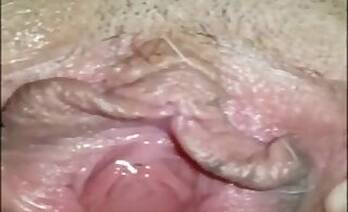 Pussy animal sex