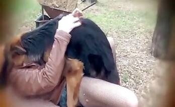 Sucking animal sex
