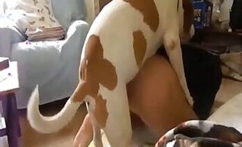 Woman animal sex