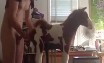 Zoo Porn Videos
