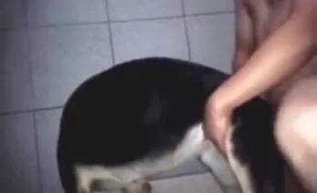 Zoo Sex Run
