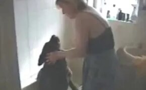 Zoo Porn Clips