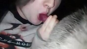 Amateur animal porn