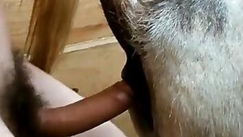 Animal Porn and zoo sex video