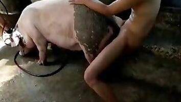 Animal sex and Zoo XXX porn