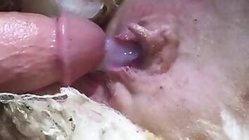 Animal sex and Zoo XXX porn
