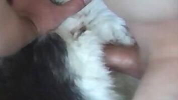 Busty animal xxx