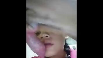 Doggy animal porn
