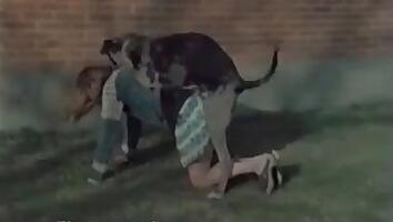 Homemade animal sex