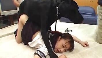 Japanese animal tube