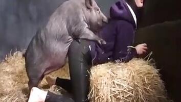 Milf animal sex