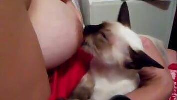 Outdoor animal porn