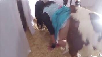 Outdoor bestiality porn