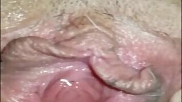 Pussy animal sex