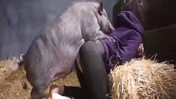 Pussy animal sex