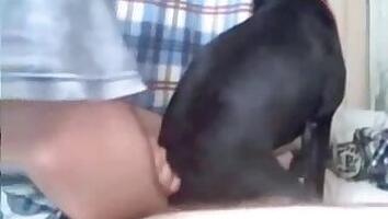 Wife animal porn