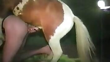 XXX Zoo Porn. Free zoo porn
