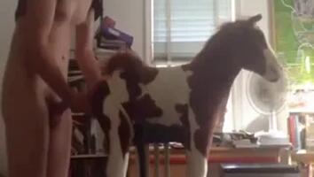 Zoo Porn Videos