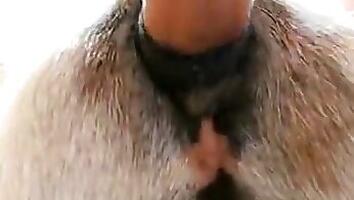 ZOO Porn video for FREE