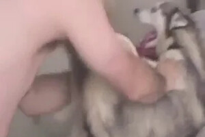 Zoo Porn Clips