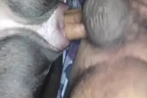 Zoo Sex Videos