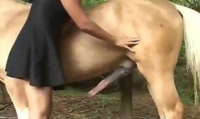 Tube 4 Zoo