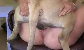 XXX Zoo Tube