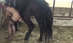 Zoo Porn You