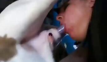 Amateur animal porn