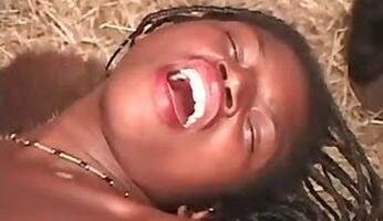 Animal Porn Videos for Free