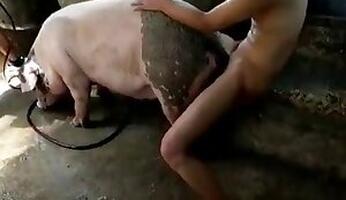 Animal sex and Zoo XXX porn